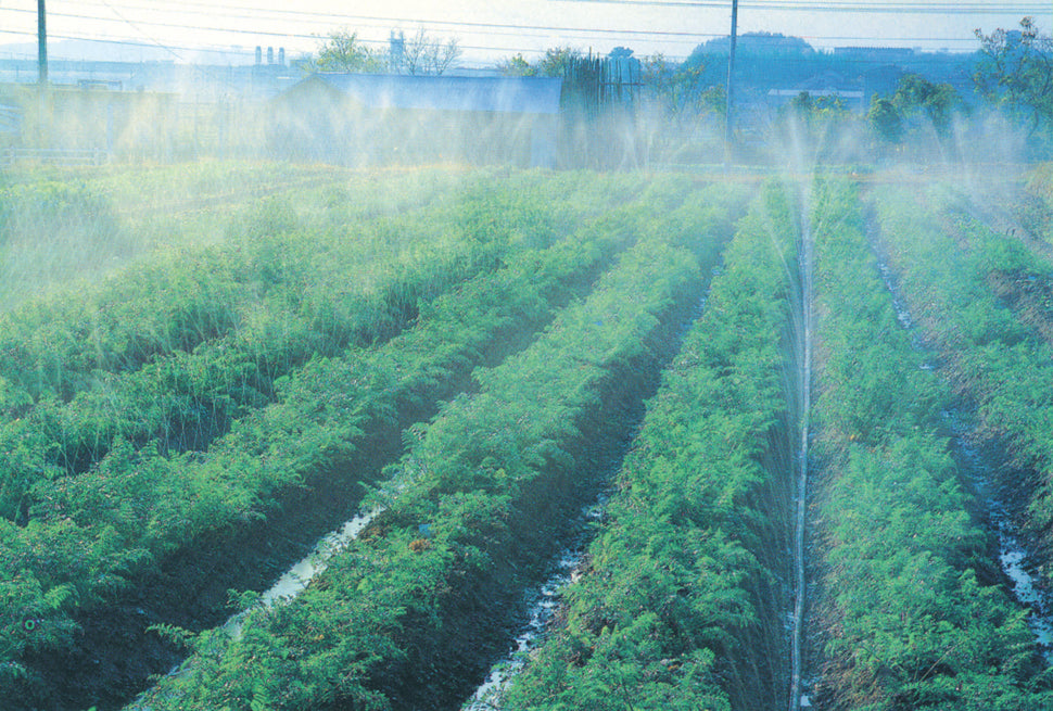 SUMIKA AGROTECH Sumisansui Irrigation Tube Mark II 100m Roll 5-roll Pack