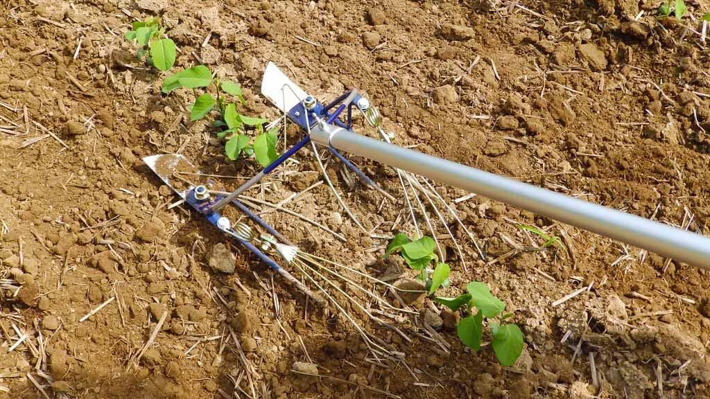 Q-HOE Magic Cultivator In-Row Weeding Tool P046-AWNEA