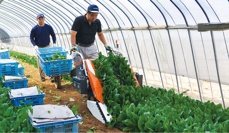 KUBOTA Battery-powered Spinach Harvesters SPH400