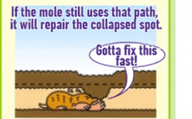 Electronic Mole Trap MS-7