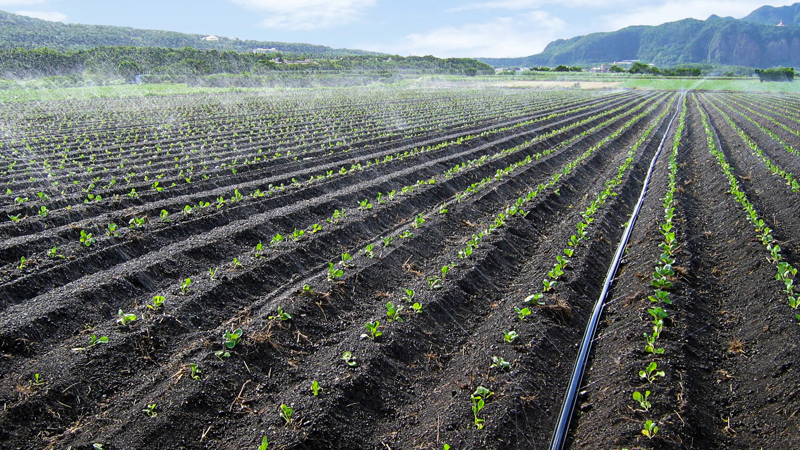SUMIKA AGROTECH Smisansui Irrigation Tube R-Wide Full Kit