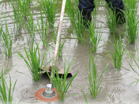Weed Brush Cutter for Rice Paddy Field