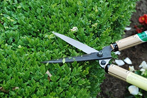Okatsune Shrub shears Short handle No.216