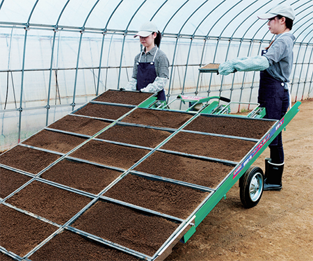Nursery Tray Installation Conveyor Machine BW-4A 900-1800trays/h
