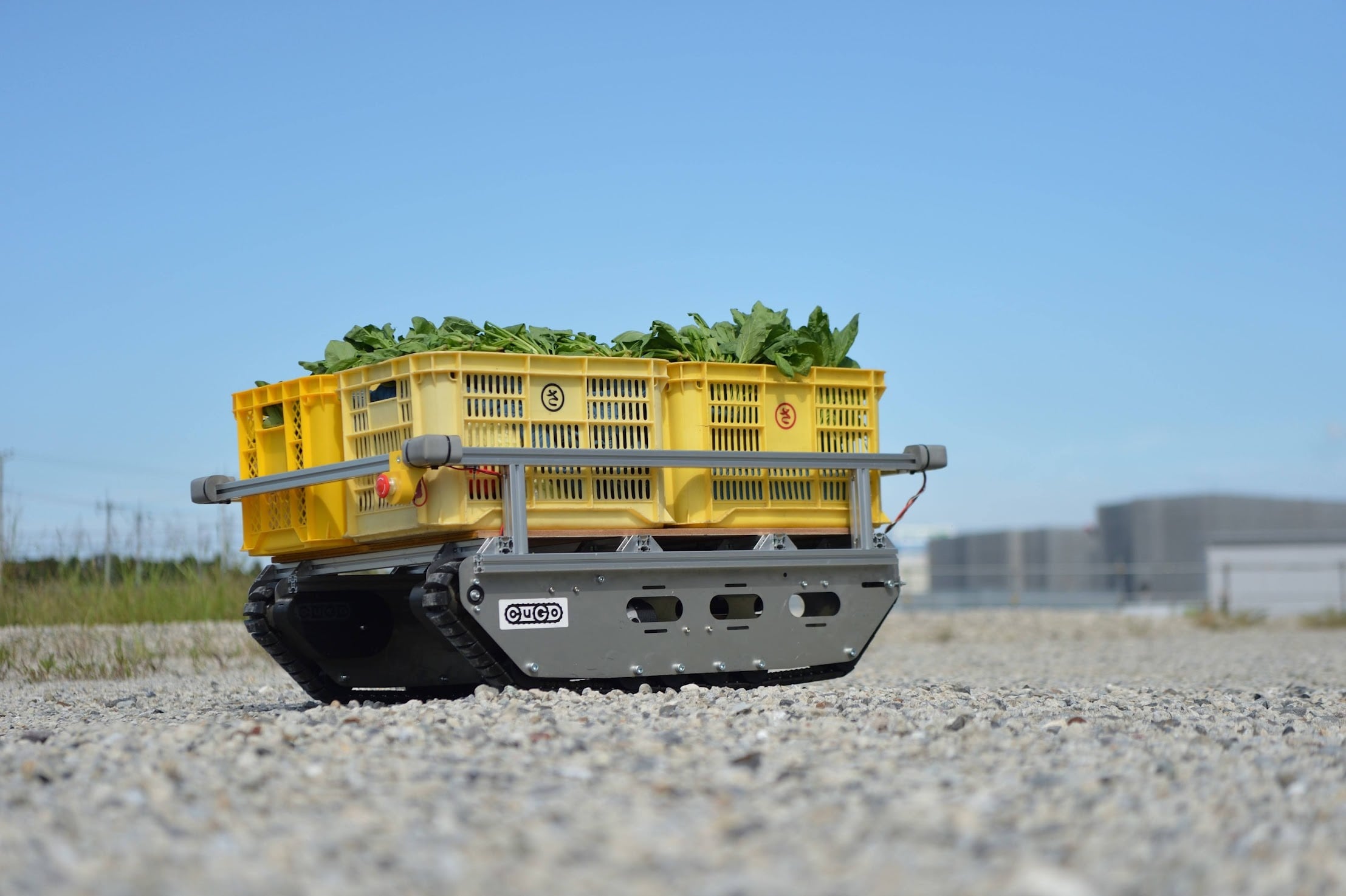 CuboRex CuGoMEGA Remote Control Robot Crawler Kit