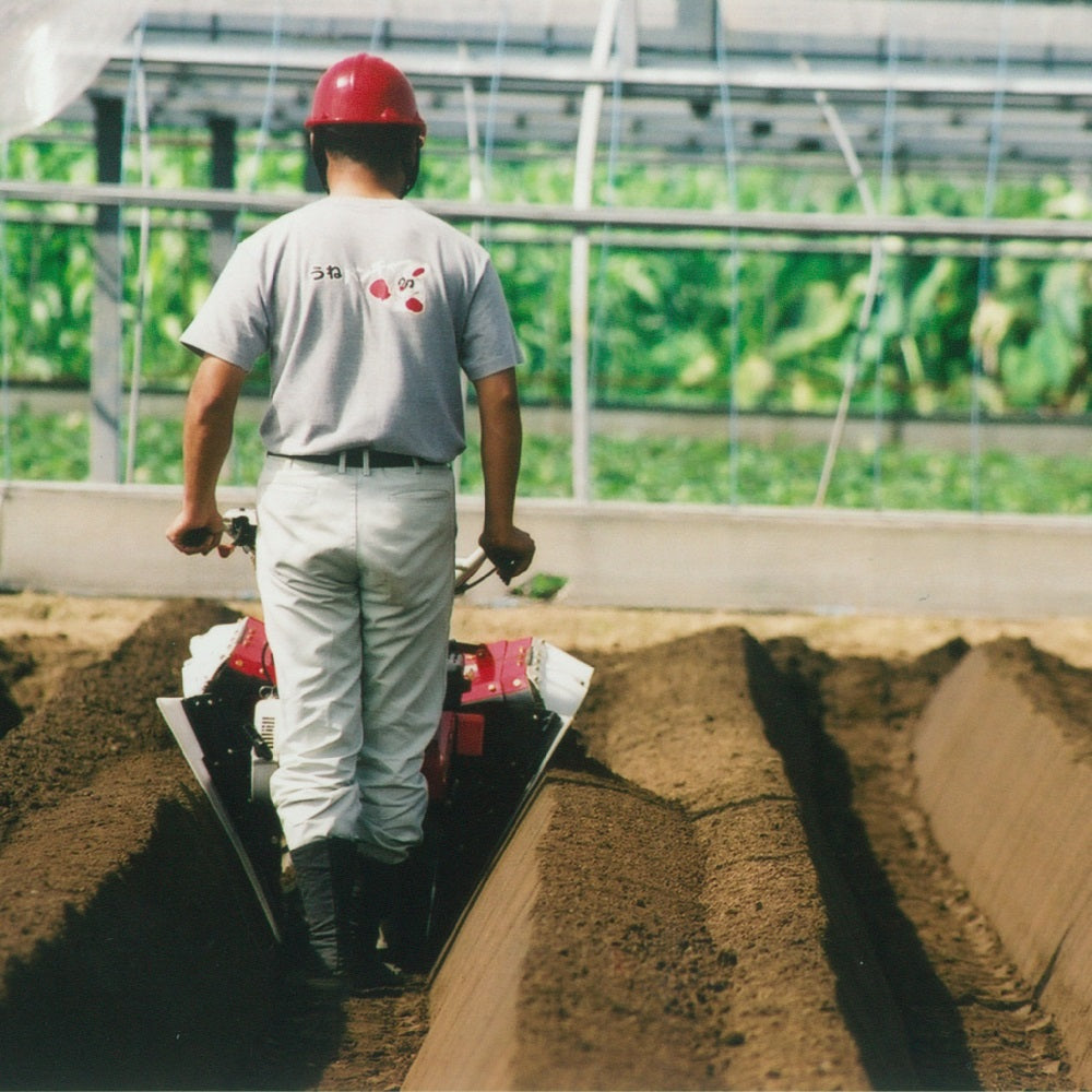 Kanto Noki Strawberry Ridging Machine 7.3 Horsepower K802P