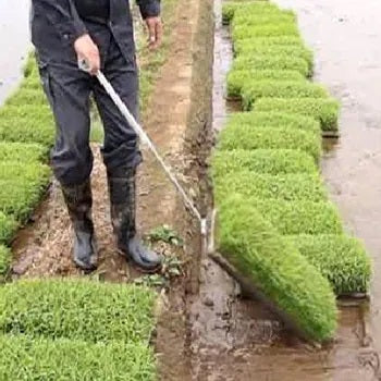 Hook Sticks for Picking Up Nursery Trays