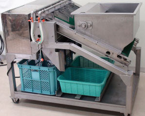 Edamame Pod Removing Machine Large Type P-478