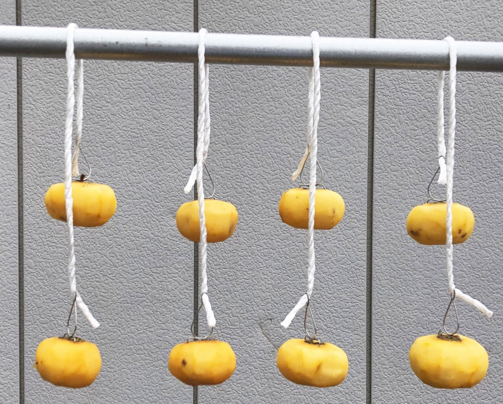 200 pcs/pack Persimmon Clip Type MA