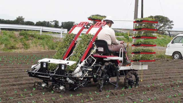 YANMAR Vollautomatische Gemüsepflanzmaschine PW20R-RS