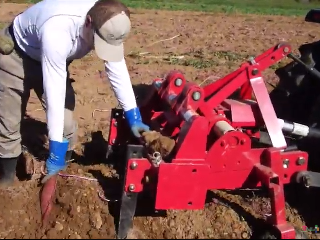 Escavatore per patate dolci Larghezza di scavo 580 mm UPN-583N