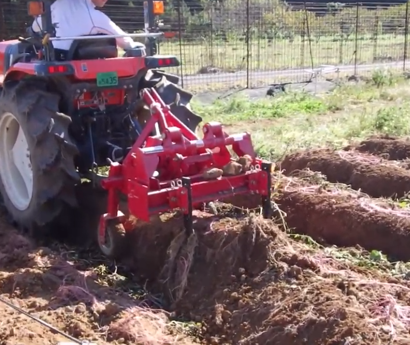 Vibrating Digger for Sweet Potato, Taro Digging width 680mm UPN-683N