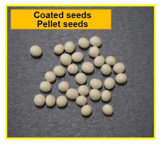 Minoru Handy Manual Seeder G-8 for Coated Seeds