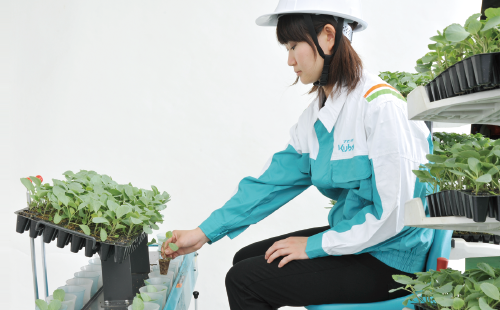 Kubota Semi-automatic Riding Vegetable Transplanter KP-201CR
