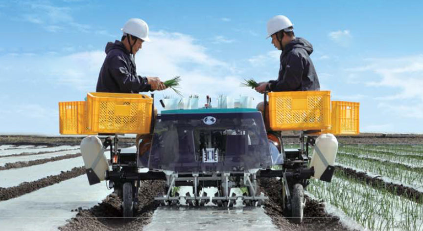 Trasplantadora de cebolla semiautomática tipo montar a caballo Kubota 4 filas KP-4T