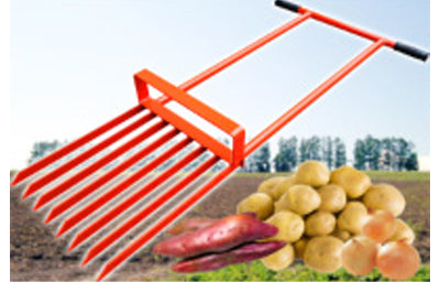 Root vegetables harvesting tools