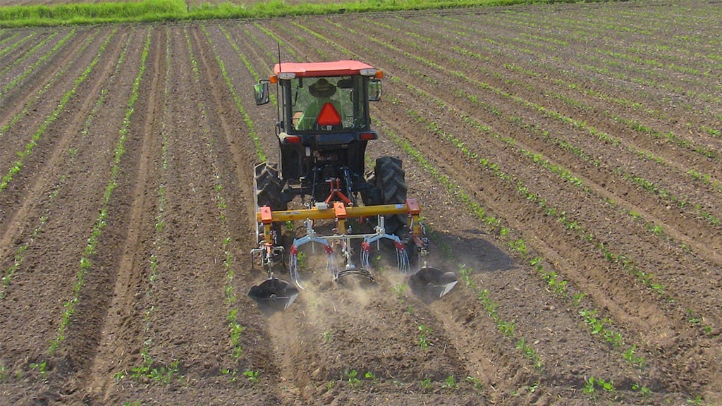 GL Cultivator for Tractor 4 rows P004-4DHN