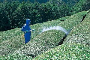 YAMAHO Sector Spray Nozzle for Tea 121832 NN-C-6S G1/4 4-nozzles