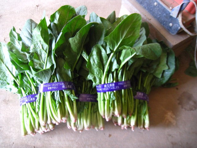 FRESH VEGETABLES Binding Tape 15 mm x 100 m 160 Rolls 640-VPS-AV15 Purple