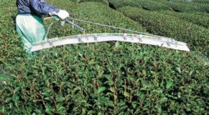 YAMAHO Scale Insects Control for Tea Garden STR3000 172013 G3/8